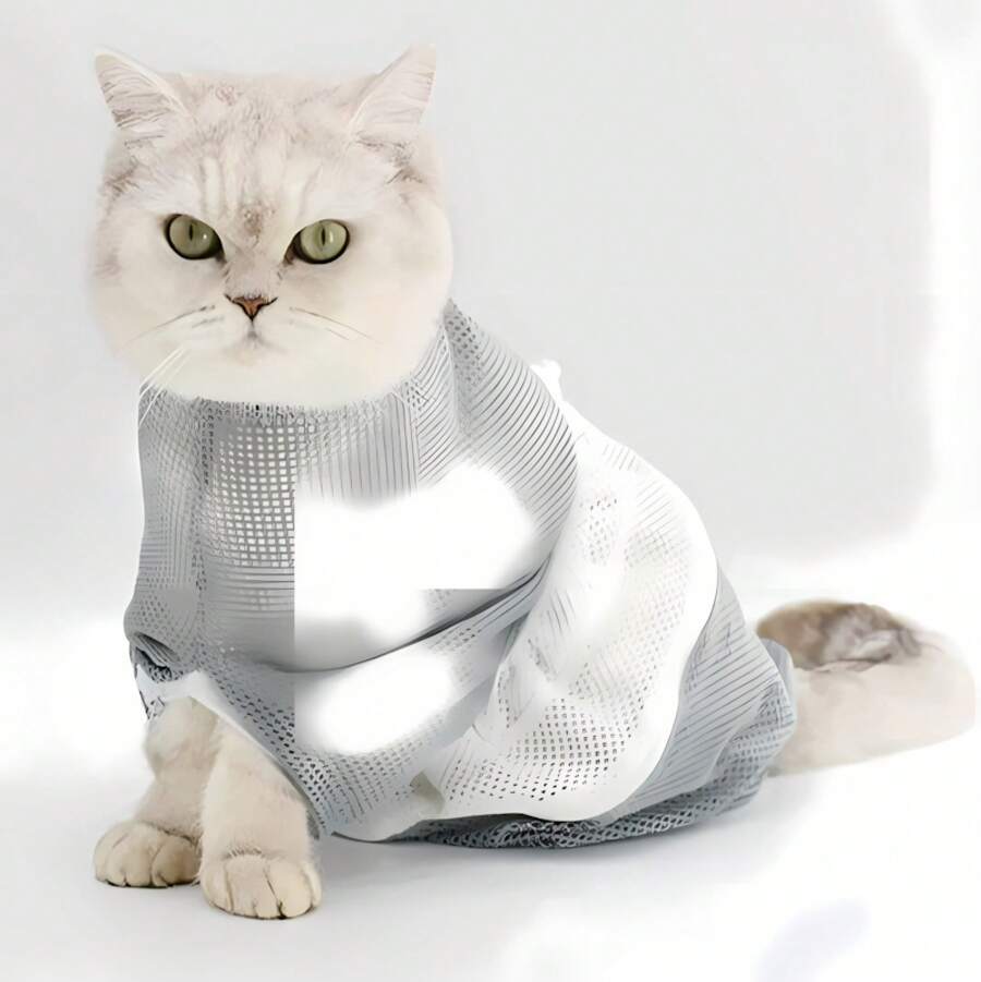 //img.ltwebstatic.com/v4/j/spmp/2026/05/20/6a/17792397867a1dbeebad90b0f22b2b1754fff9c2c5_squfix_thumbnail_900x.webp
