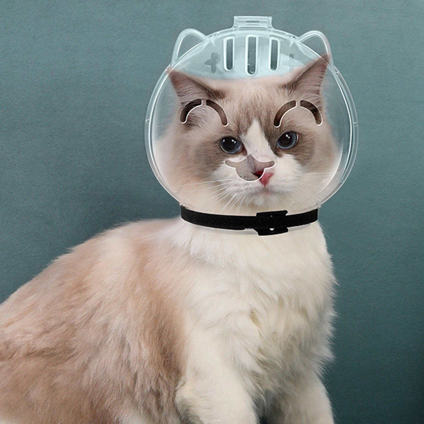 Atmungsaktive Katze Maulkorb Anti-Biss Anti-Leckung Space Hood Maske Abdeckung Katze Pflege Zubehör für Kätzchen Bad Pflege liefert