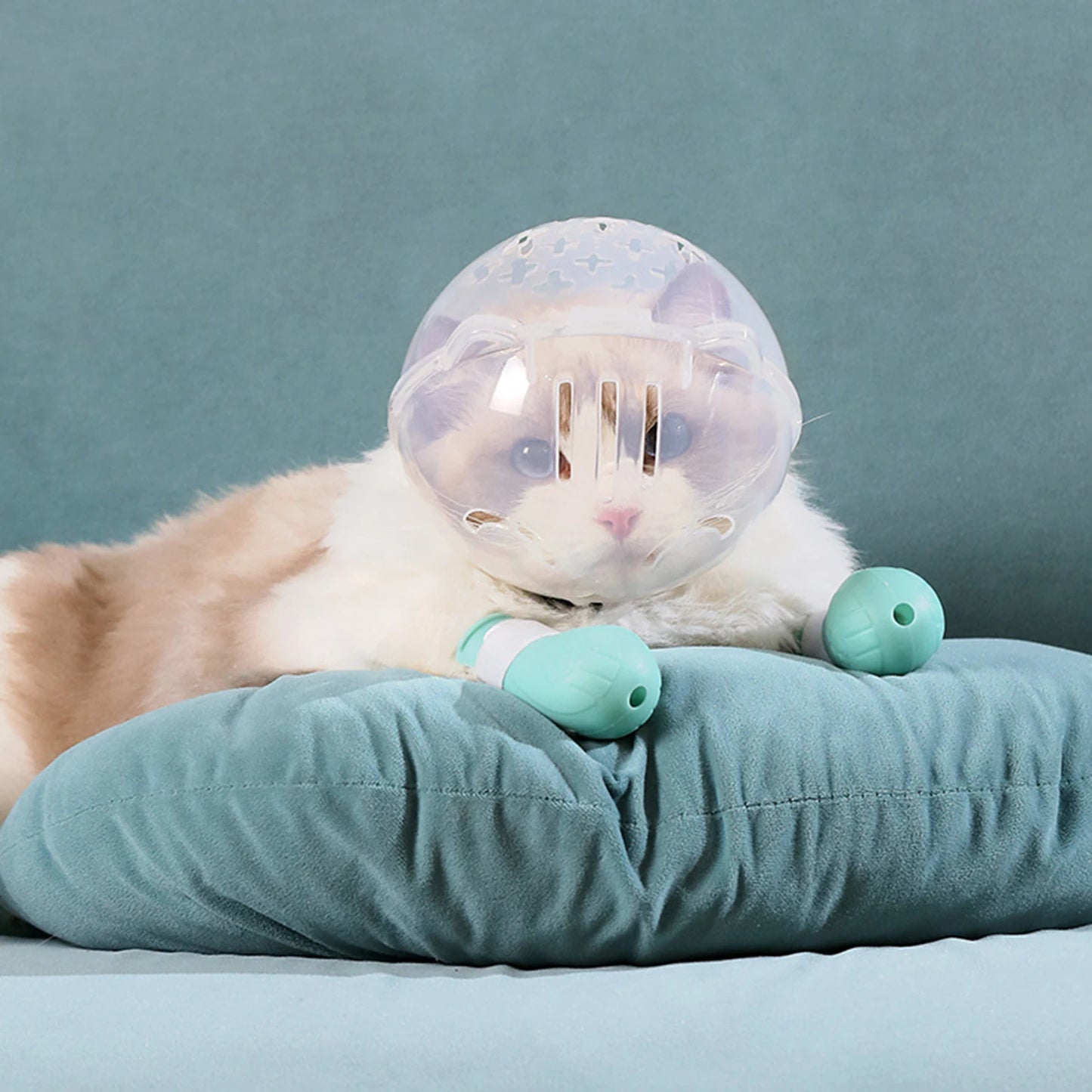 Atmungsaktive Katze Maulkorb Anti-Biss Anti-Leckung Space Hood Maske Abdeckung Katze Pflege Zubehör für Kätzchen Bad Pflege liefert