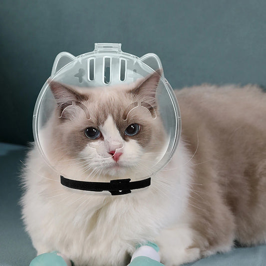 Atmungsaktive Katze Maulkorb Anti-Biss Anti-Leckung Space Hood Maske Abdeckung Katze Pflege Zubehör für Kätzchen Bad Pflege liefert