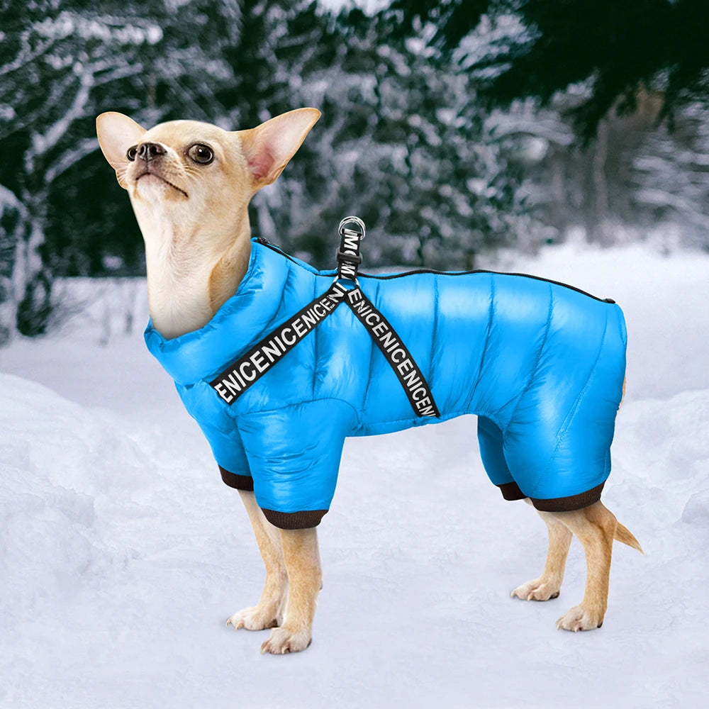 Winter Hundejacke mit integrieretem Geschirr – Wasserdicht, Super Warm, Atmungsaktiv | Wintermantel für kleine & mittelgroße Hunde