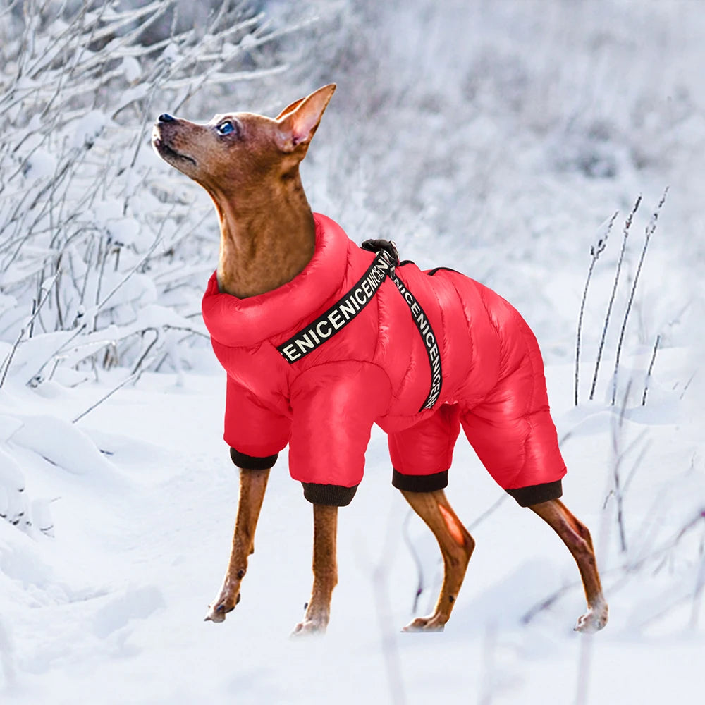 Winter Hundejacke mit integrieretem Geschirr – Wasserdicht, Super Warm, Atmungsaktiv | Wintermantel für kleine & mittelgroße Hunde