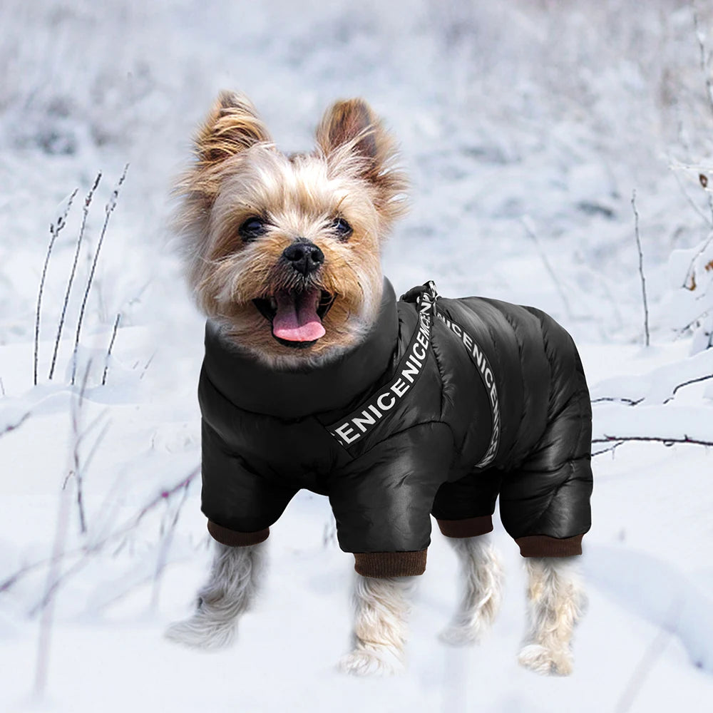 Winter Hundejacke mit integrieretem Geschirr – Wasserdicht, Super Warm, Atmungsaktiv | Wintermantel für kleine & mittelgroße Hunde