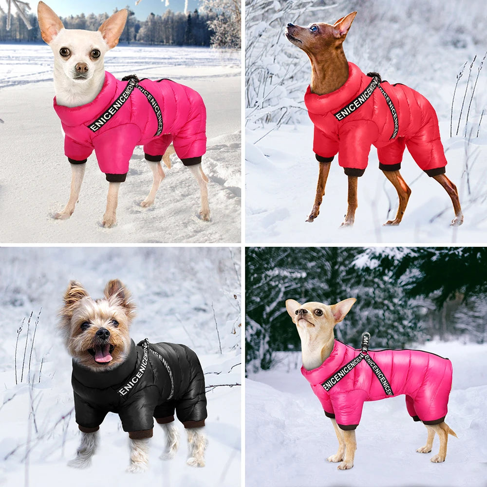 Winter Hundejacke mit integrieretem Geschirr – Wasserdicht, Super Warm, Atmungsaktiv | Wintermantel für kleine & mittelgroße Hunde