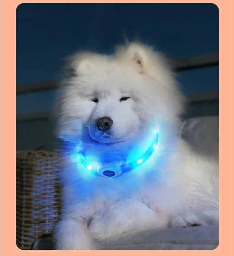 LED Hundehalsband – Wasserdichtes PVC Leuchthalsband mit USB-Ladung, 3 Lichtmodi, Sichtbarkeit bei Nacht, Sicherheit für große & kleine Hunde