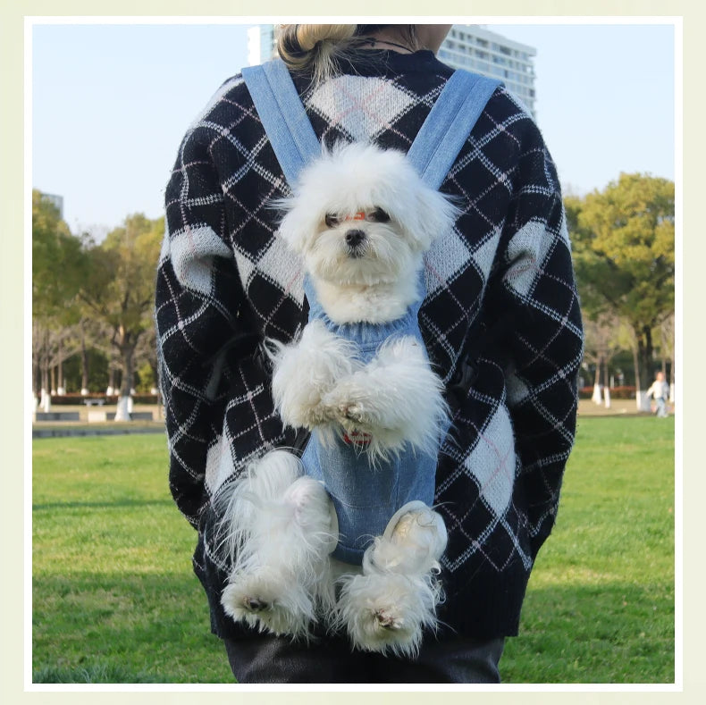 Tragbarer Haustier-Rucksack für Katzen & Kleine Hunde | Atmungsaktiver Reise-Transporter | Komfort Tasche für Outdoor & Spaziergänge