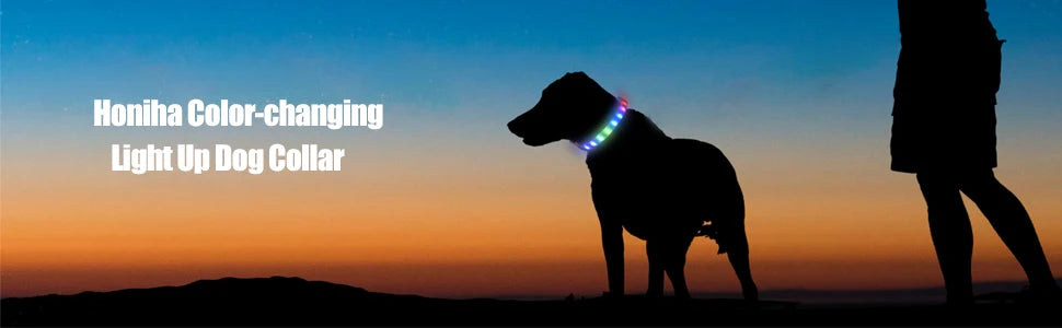 LED Hundehalsband – Wasserdichtes PVC Leuchthalsband mit USB-Ladung, 3 Lichtmodi, Sichtbarkeit bei Nacht, Sicherheit für große & kleine Hunde