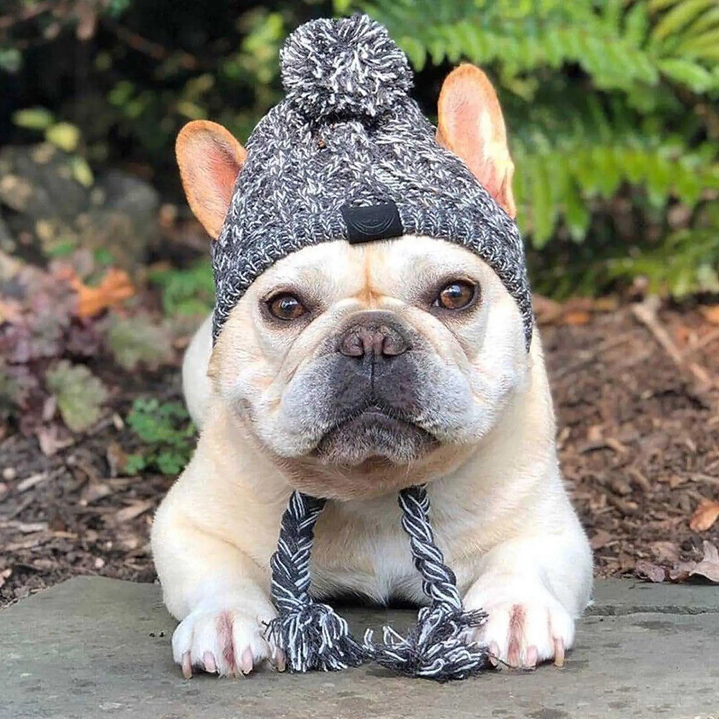 Winter Warme Hunde-Mütze mit Ohrenklappen | Strickmütze für Hunde – Für kleine & mittelgroße Hunde | Französische Bulldogge, Chihuahua, Welpen Zubehör