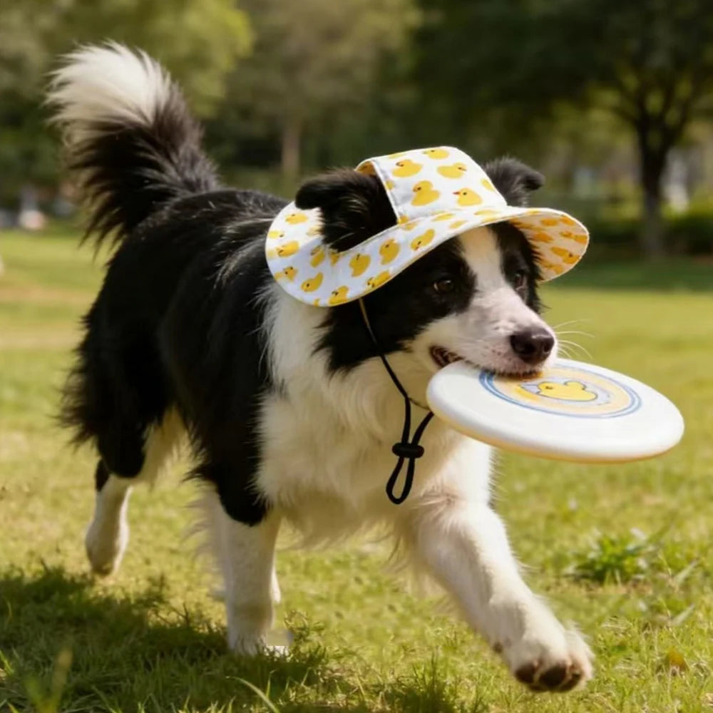 Süßer Hundehut mit Ohrenlöchern – Verstellbare Haustier Mütze & Sonnenschutz für Welpen, Mops, Corgi & kleine bis mittlere Hunde