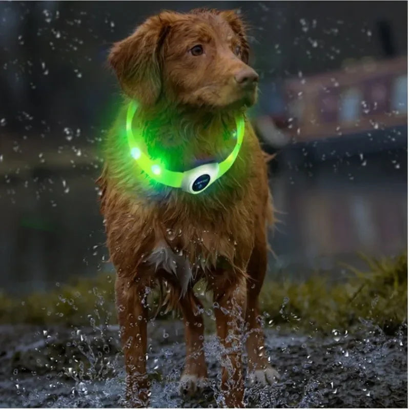 LED Hundehalsband – Wasserdichtes PVC Leuchthalsband mit USB-Ladung, 3 Lichtmodi, Sichtbarkeit bei Nacht, Sicherheit für große & kleine Hunde