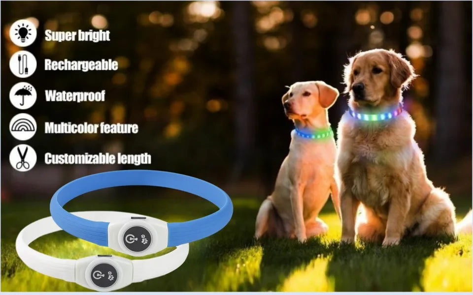 LED Hundehalsband – Wasserdichtes PVC Leuchthalsband mit USB-Ladung, 3 Lichtmodi, Sichtbarkeit bei Nacht, Sicherheit für große & kleine Hunde
