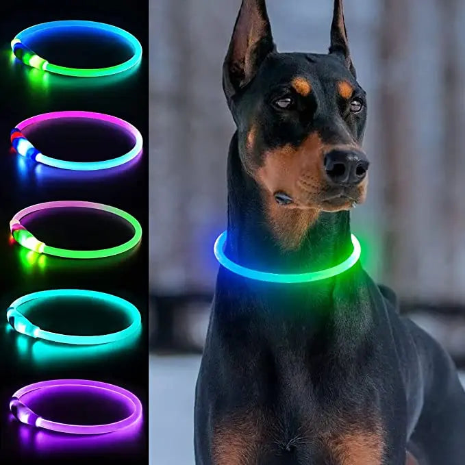 LED Hundehalsband – Wasserdichtes PVC Leuchthalsband mit USB-Ladung, 3 Lichtmodi, Sichtbarkeit bei Nacht, Sicherheit für große & kleine Hunde