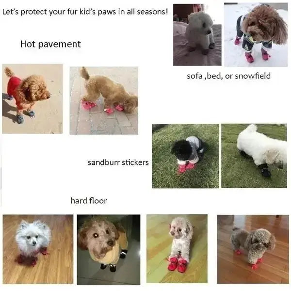 Wasserdichte Hundeschuhe 4er-Set | Rutschfeste Winter-Booties für Hunde & Katzen | Warm, robust & wetterfest – Ideal für Regen, Schnee & Spaziergänge