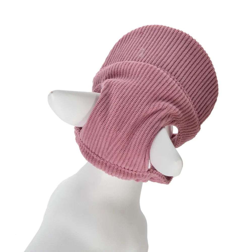 Cute Cat Dog Cap Adjustable Breathable Pet Hat With Ear Hole For Sphynx Cats Accessories Outdoor Puppy Kitten Beach Visor Hats