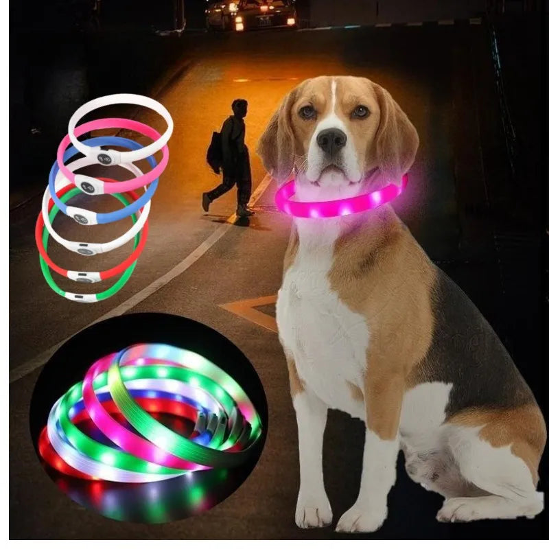LED Hundehalsband – Wasserdichtes PVC Leuchthalsband mit USB-Ladung, 3 Lichtmodi, Sichtbarkeit bei Nacht, Sicherheit für große & kleine Hunde