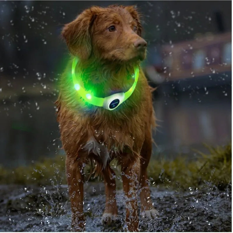 LED Hundehalsband – Wasserdichtes PVC Leuchthalsband mit USB-Ladung, 3 Lichtmodi, Sichtbarkeit bei Nacht, Sicherheit für große & kleine Hunde