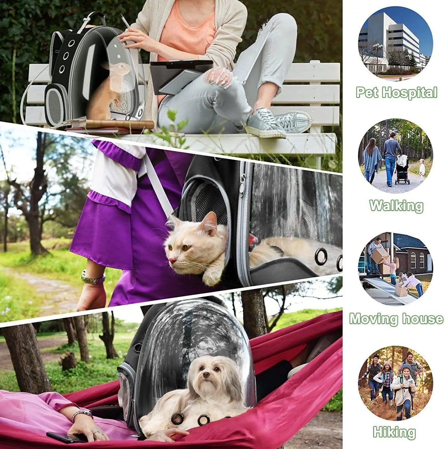 Transparenter Haustier-Rucksack | Raumkapsel-Design | Atmungsaktiv & Stabil | Katzen- & Hundetransporter (42×35×25 cm)