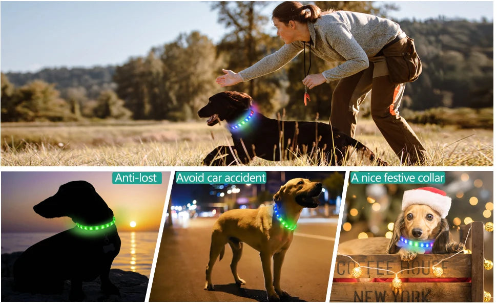 LED Hundehalsband – Wasserdichtes PVC Leuchthalsband mit USB-Ladung, 3 Lichtmodi, Sichtbarkeit bei Nacht, Sicherheit für große & kleine Hunde
