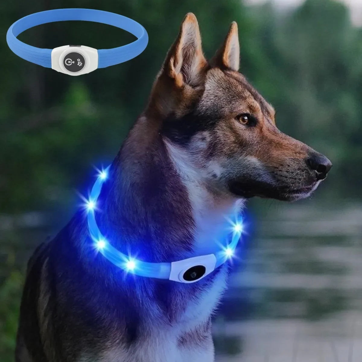 LED Hundehalsband – Wasserdichtes PVC Leuchthalsband mit USB-Ladung, 3 Lichtmodi, Sichtbarkeit bei Nacht, Sicherheit für große & kleine Hunde