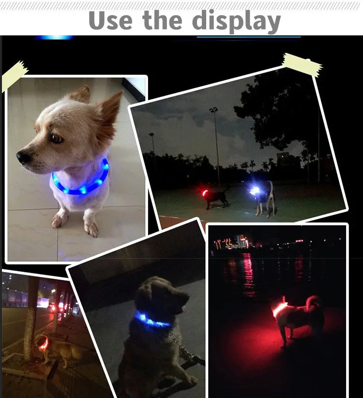 LED Hundehalsband – Wasserdichtes PVC Leuchthalsband mit USB-Ladung, 3 Lichtmodi, Sichtbarkeit bei Nacht, Sicherheit für große & kleine Hunde