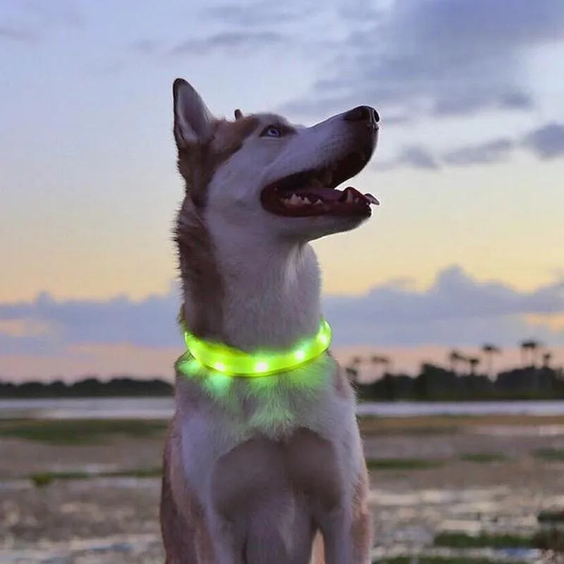 LED Hundehalsband – Wasserdichtes PVC Leuchthalsband mit USB-Ladung, 3 Lichtmodi, Sichtbarkeit bei Nacht, Sicherheit für große & kleine Hunde